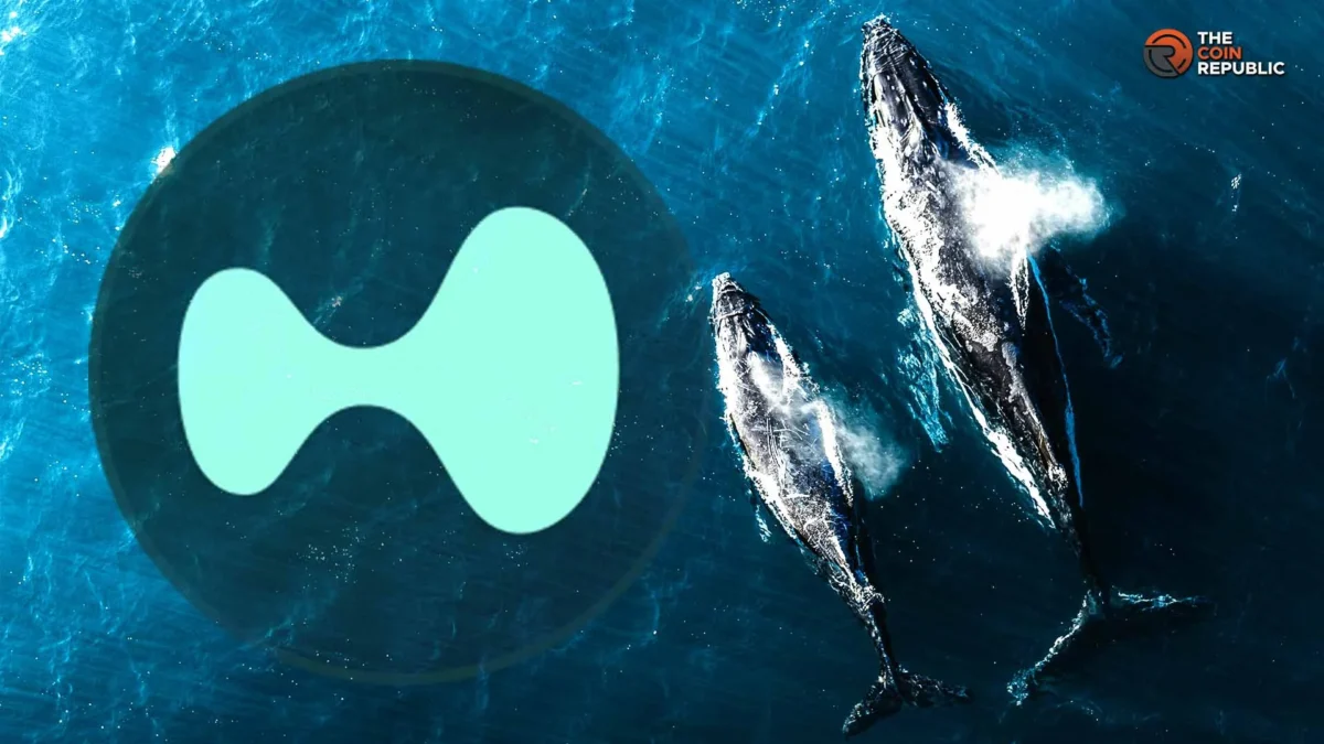 Hyperliquid Crypto: Why Whales Add Exposure Despite Record HYPE ETF Outflows