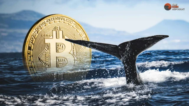 Bitcoin Price Battles $85K Wall as Whale Holdings Hit Six-Week High
